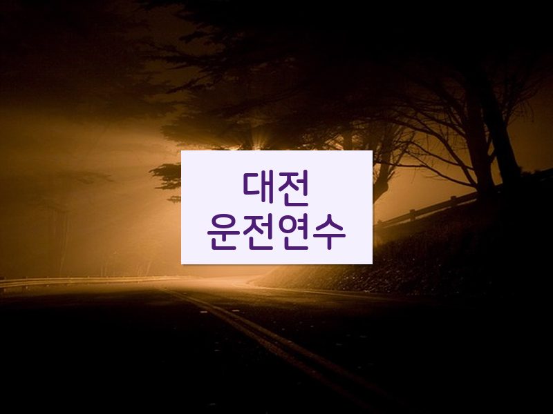 대전운전연수 후기