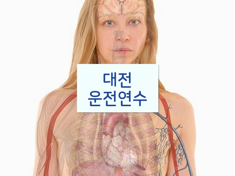 대전운전연수 후기