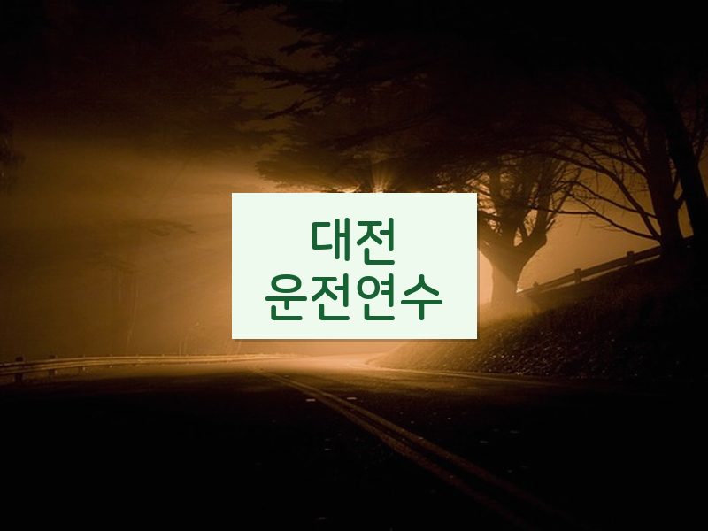 대전운전연수 후기