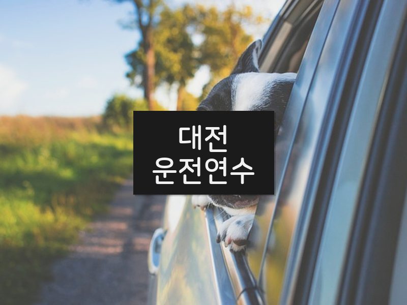 대전운전연수 후기