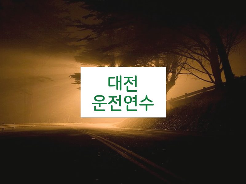 대전운전연수 후기
