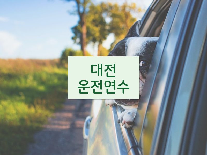 대전운전연수 후기