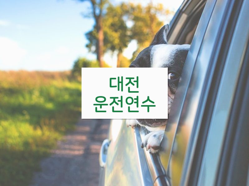 대전운전연수 후기