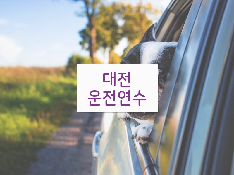 대전운전연수 후기