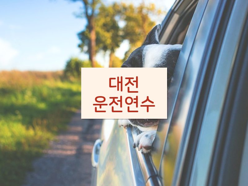대전운전연수 후기