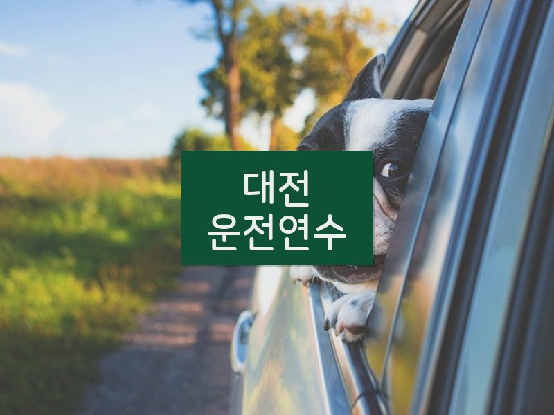 대전운전연수 후기