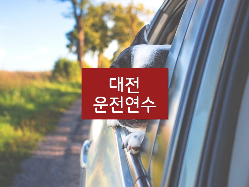 대전운전연수 후기