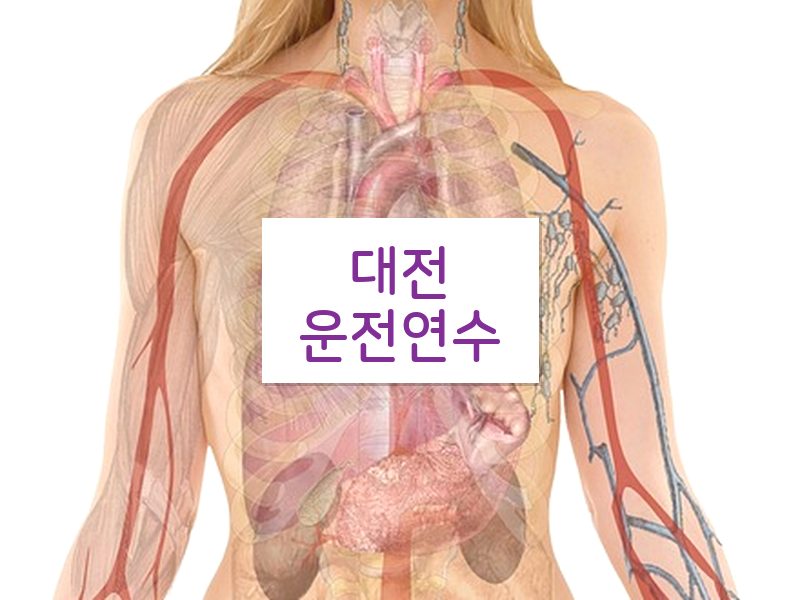 대전운전연수 후기