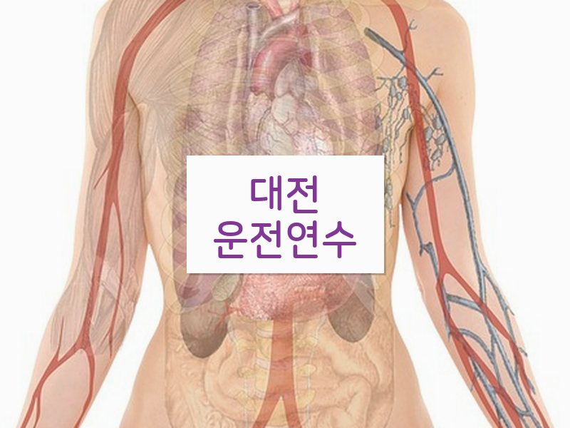 대전운전연수 후기