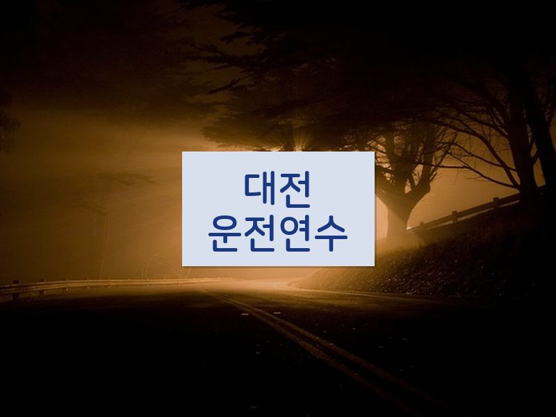 대전운전연수 후기