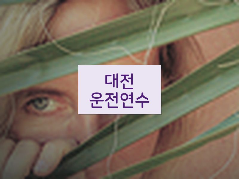 대전운전연수 후기