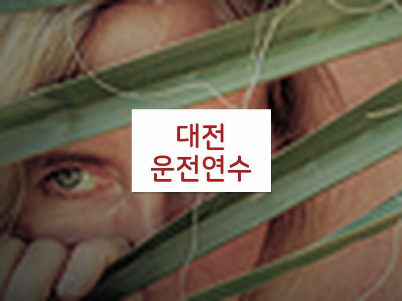 대전운전연수 후기