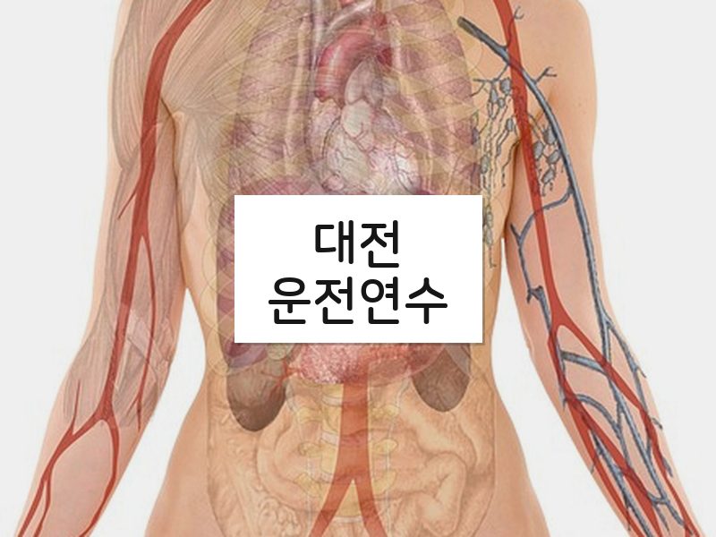 대전운전연수 후기