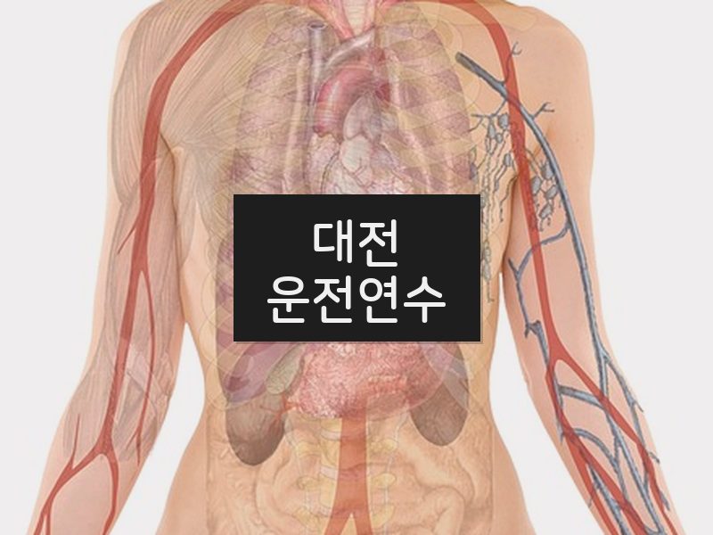 대전운전연수 후기