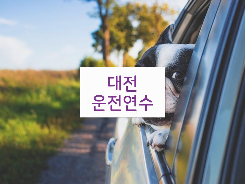 대전운전연수 후기