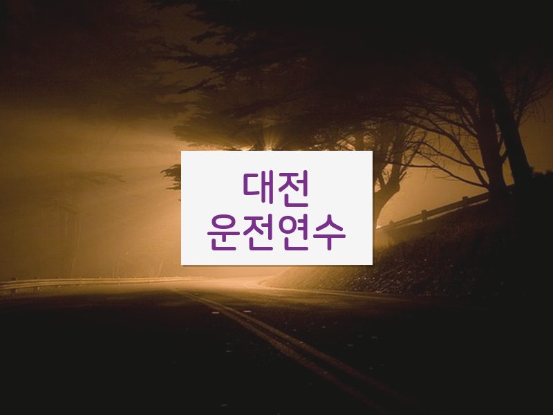 대전운전연수 후기