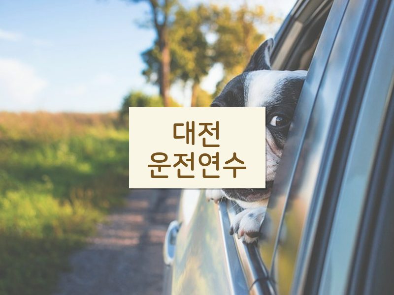 대전운전연수 후기