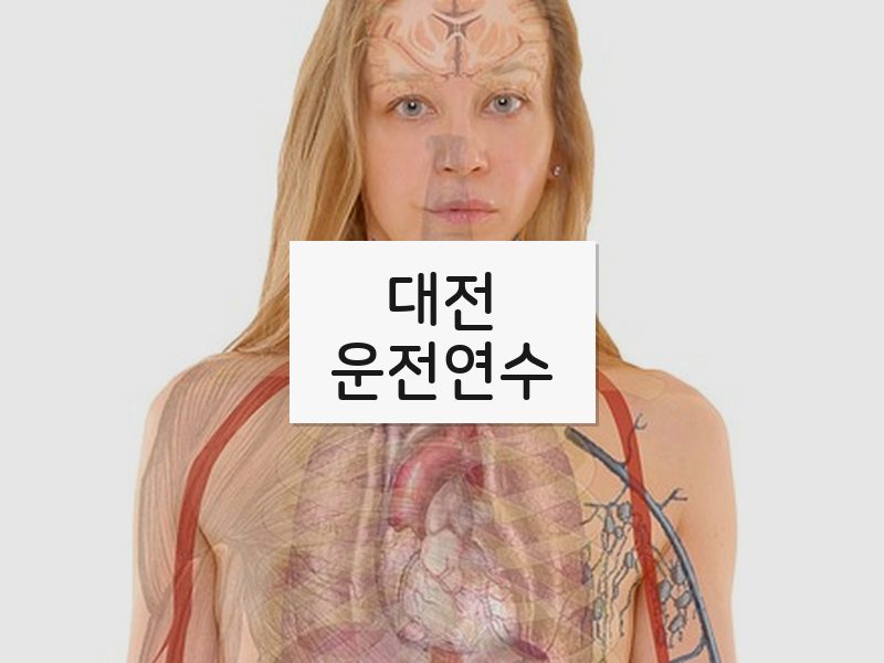 대전운전연수 후기
