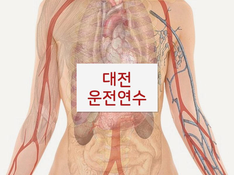 대전운전연수 후기