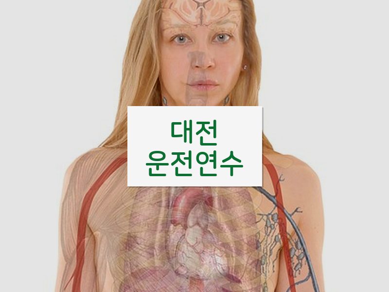 대전운전연수 후기