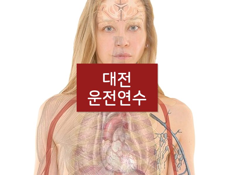 대전운전연수 후기