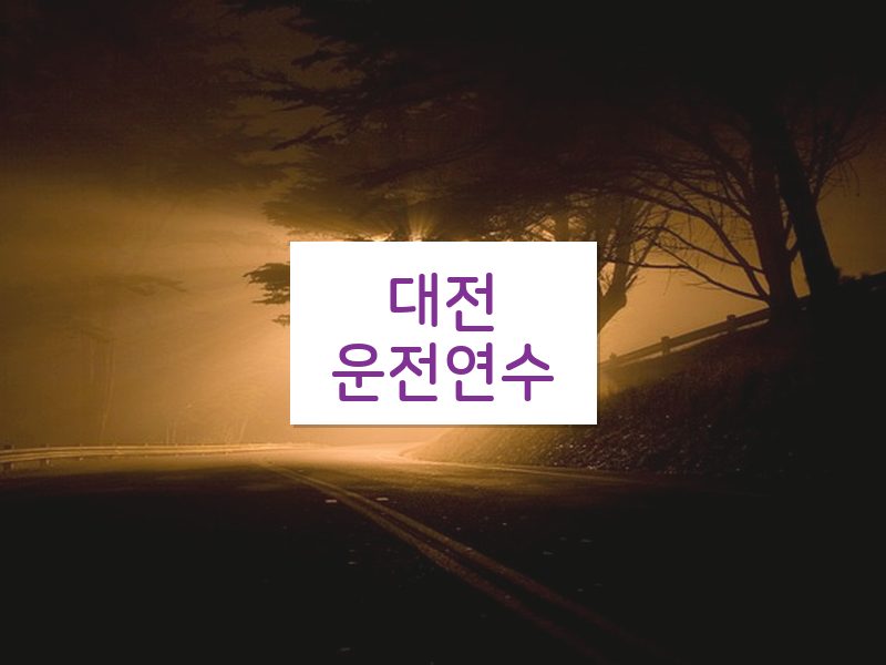 대전운전연수 후기