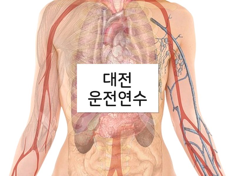 대전운전연수 후기