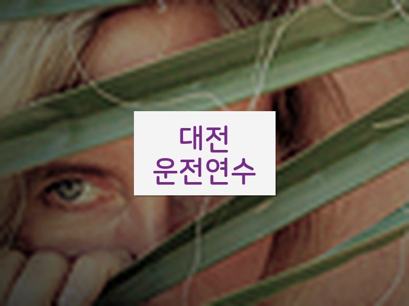 대전운전연수 후기
