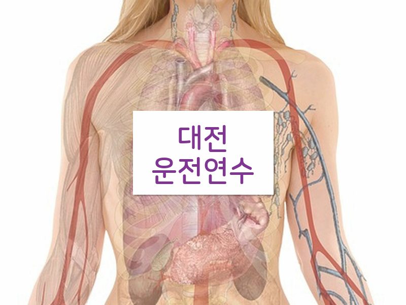 대전운전연수 후기