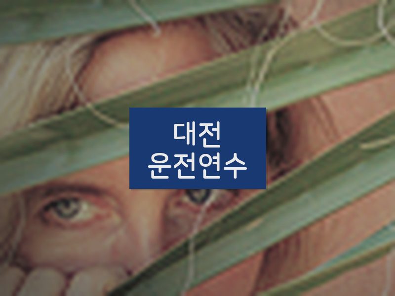 대전운전연수 후기