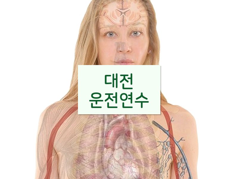 대전운전연수 후기