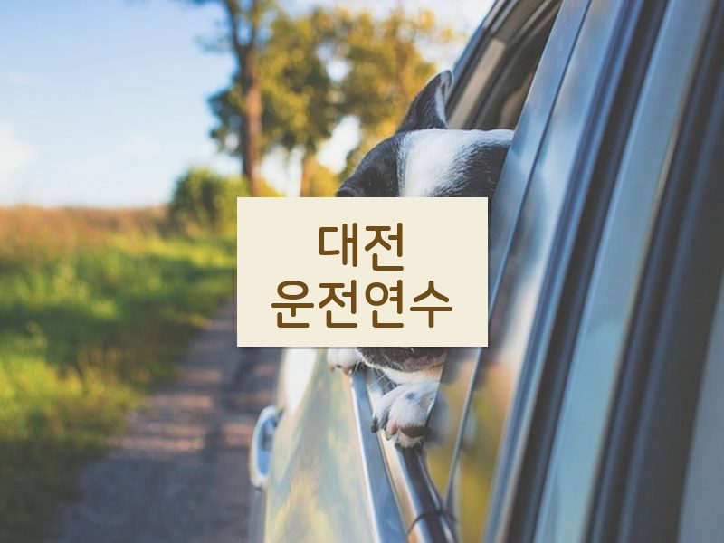 대전운전연수 후기