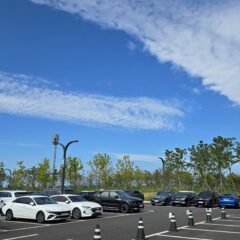 대전운전연수 후기 (장롱면허 탈출)