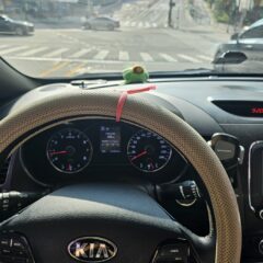 대전에서 첫 운전 연습