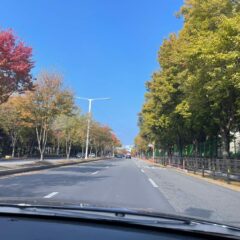 대전운전연수 실력이 확 늘었어요