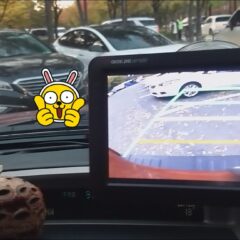 가족과 함께 운전하기