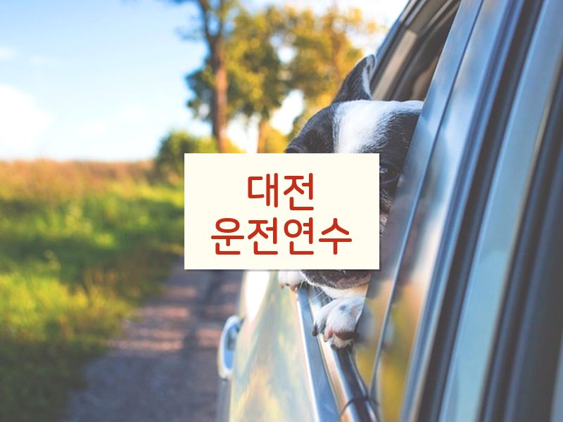 대전운전연수 후기
