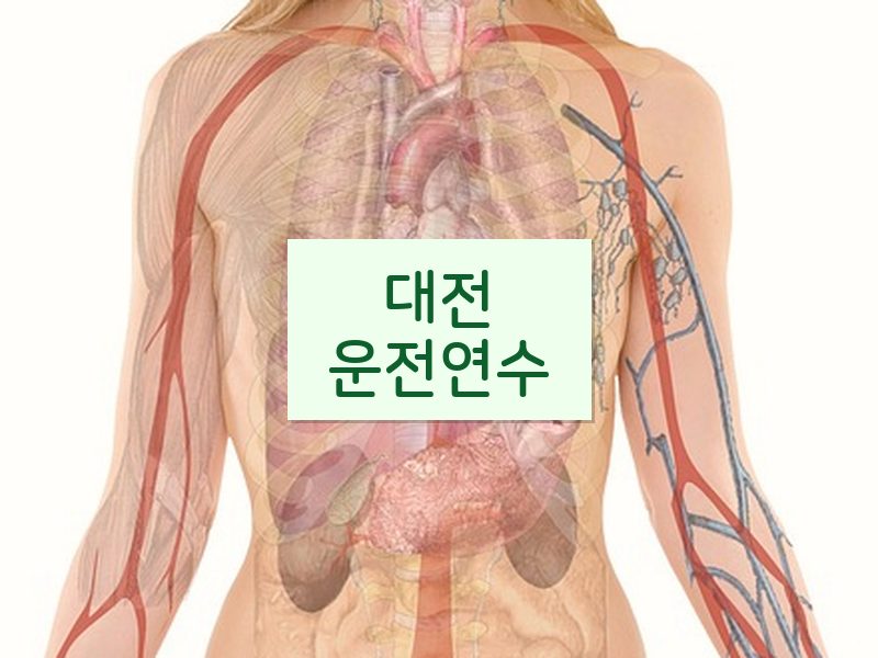 대전운전연수 후기